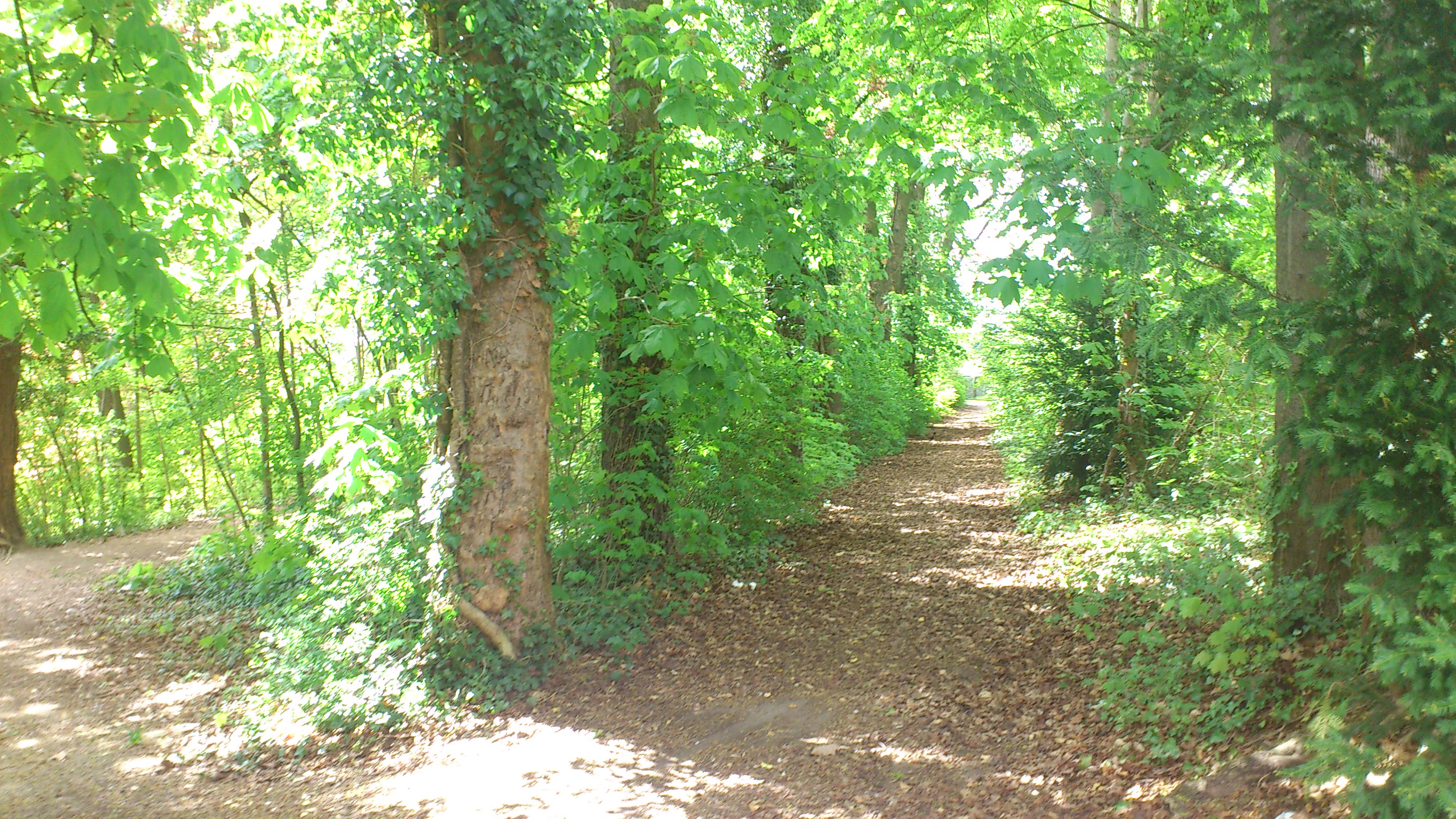 Wildergrundpark Maihälden - historischer Weg heute